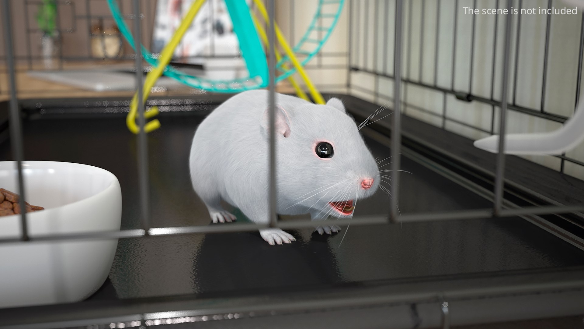 Dwarf Hamster White Fur 3D model https://p.turbosquid.com/ts-thumb/O1/FHbpWt/Pa/dwarf_hamster_white_fur_002/jpg/1755818428/1920x1080/fit_q87/f59948318fe2592b96da88cfc7334735489f486f/dwarf_hamster_white_fur_002.jpg