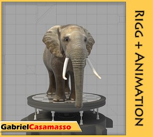 Elephant