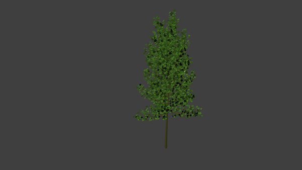 3d model tree