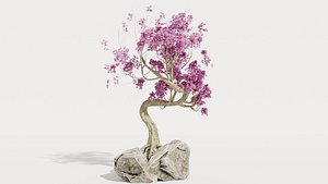 Japanese Tree