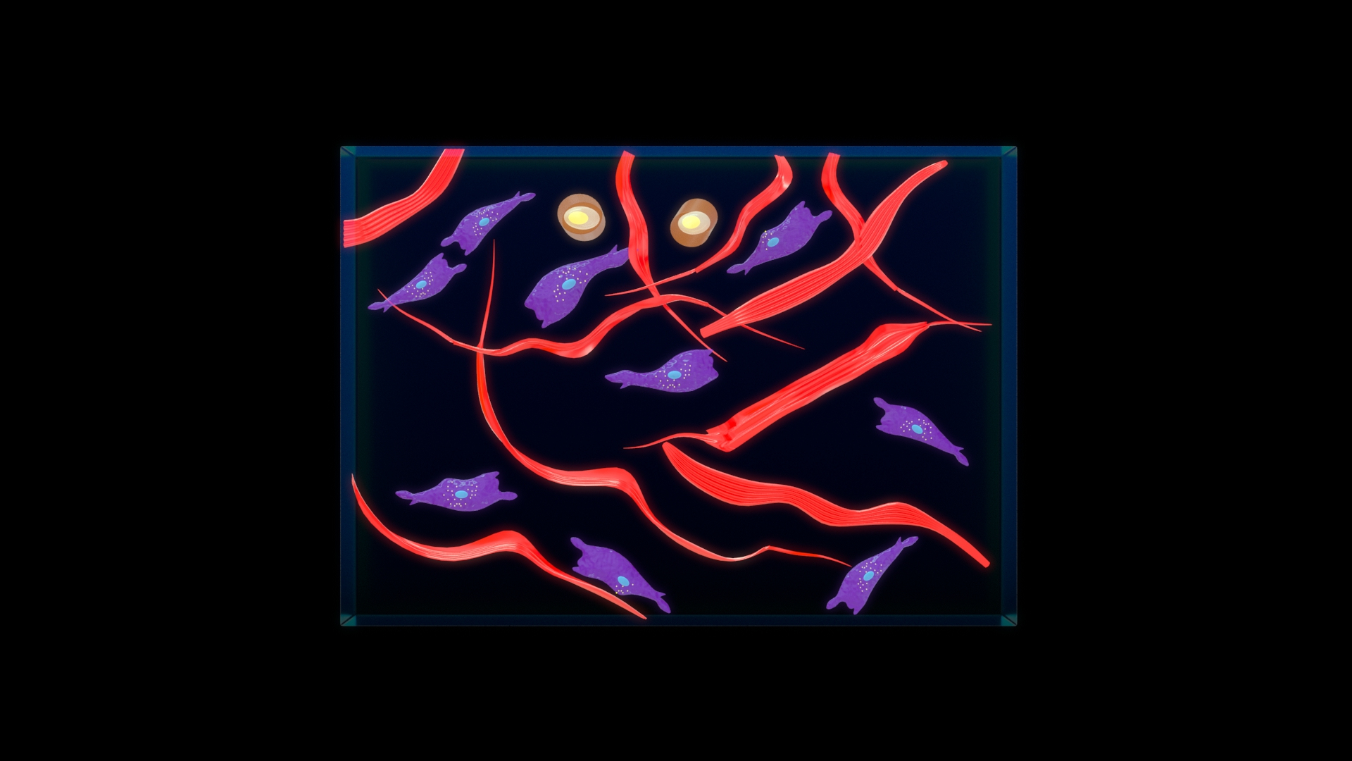 3D dense irregular connective tissue https://p.turbosquid.com/ts-thumb/O1/SjKRpt/CF/m0198_dense_irregular_connective_tissue/jpg/1731580696/1920x1080/turn_fit_q99/17c753182485555cb78b79811d969a24d6f07601/m0198_dense_irregular_connective_tissue-1.jpg