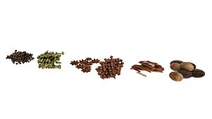 cloves 3D model