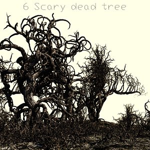 6 Scary dead tree