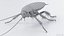 3D Realistic Cockroach