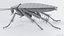 3D Realistic Cockroach