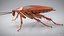 3D Realistic Cockroach