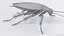 3D Realistic Cockroach