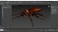 3D Realistic Cockroach