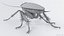 3D Realistic Cockroach