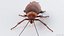 3D Realistic Cockroach