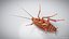 3D Realistic Cockroach
