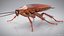 3D Realistic Cockroach