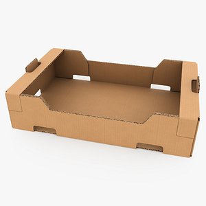 3D Fruit Cardboard Box v1