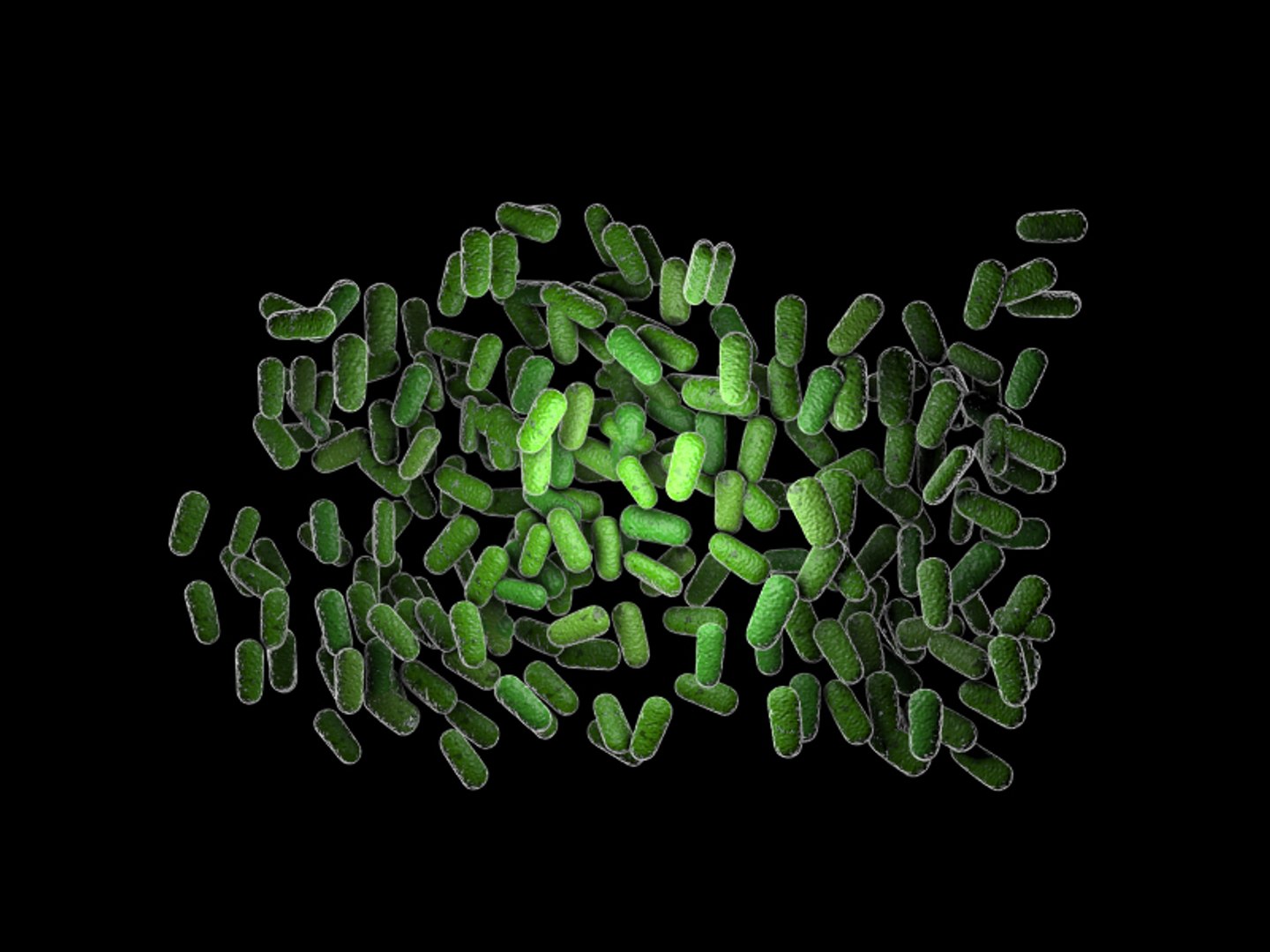 max bacillus https://p.turbosquid.com/ts-thumb/O1/rW9dmn/1MlfvypQ/bacillus2/jpg/1406141666/1920x1080/fit_q87/100bb567b2b8dee84f6a491b57bef2474e975684/bacillus2.jpg