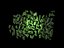 Bacillus