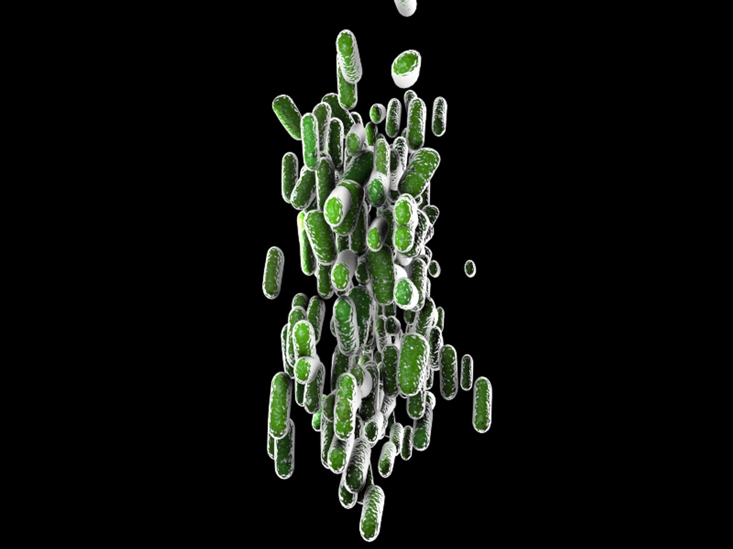 max bacillus https://p.turbosquid.com/ts-thumb/O1/rW9dmn/F40oqroM/bacillus5/jpg/1406141692/1920x1080/fit_q87/4d7b94067b8caa4157cc38f85758467d24e9a29e/bacillus5.jpg