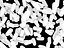 Bacillus
