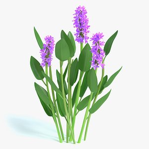 3d purple pickerel rush flowers model