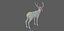 Fawn Deer Rig