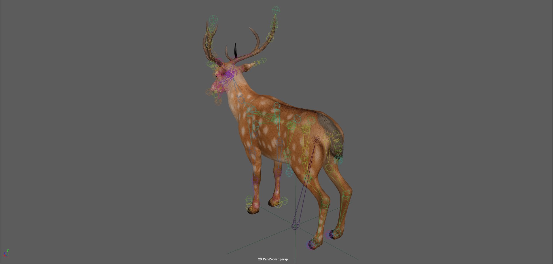 3D Fawn Deer Rig model https://p.turbosquid.com/ts-thumb/O2/0t6Mjy/AQ/screenshot20260121201539/png/1769089723/1920x1080/fit_q87/d5437f2ef01c1735ae59cd2c6dbd8e375ae37469/screenshot20260121201539.jpg