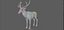Fawn Deer Rig