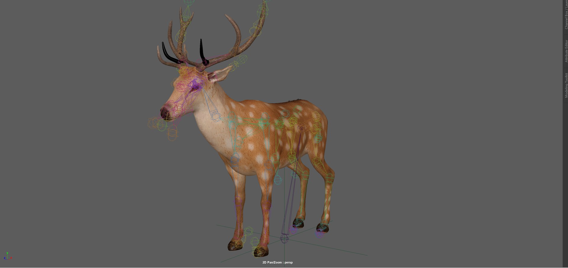 3D Fawn Deer Rig model https://p.turbosquid.com/ts-thumb/O2/0t6Mjy/P4/screenshot20260121201448/png/1769089721/1920x1080/fit_q87/9b524ba2ea25128bab312ccac2c801cc176a6678/screenshot20260121201448.jpg