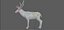 Fawn Deer Rig