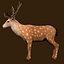 Fawn Deer Rig