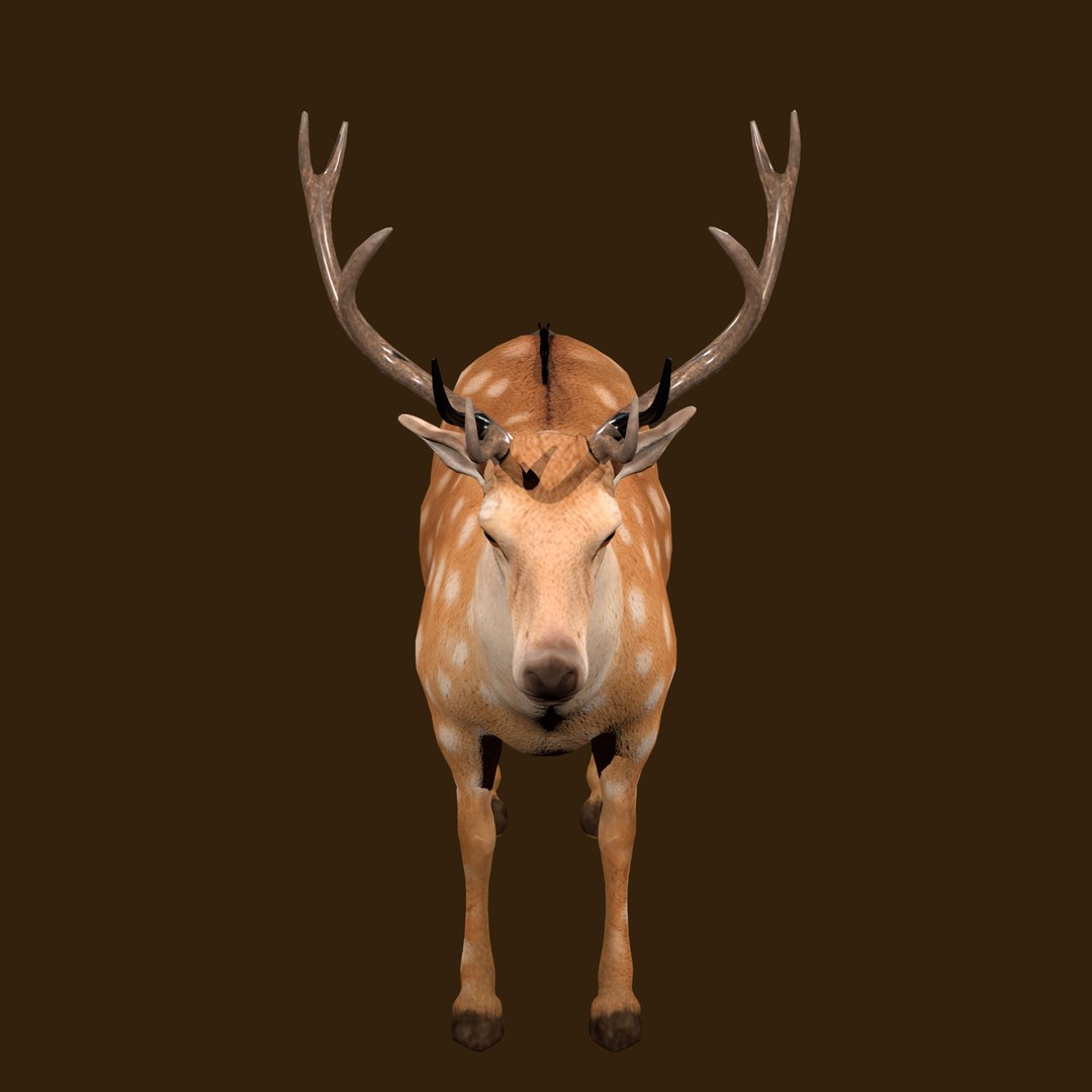 3D Fawn Deer Rig model https://p.turbosquid.com/ts-thumb/O2/0t6Mjy/hB/render_1_0008/jpg/1769089714/1920x1080/fit_q87/9b77f492a796aa1da4511ab86bb7c46facab6a28/render_1_0008.jpg