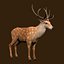 Fawn Deer Rig