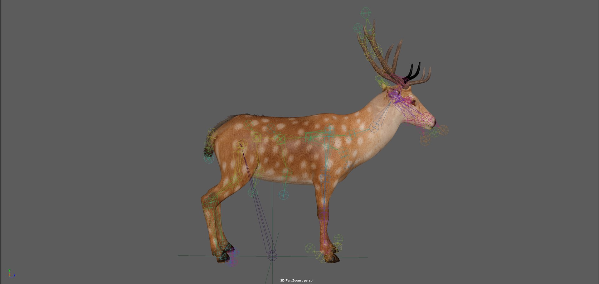 3D Fawn Deer Rig model https://p.turbosquid.com/ts-thumb/O2/0t6Mjy/xh/screenshot20260121201513/png/1769089722/1920x1080/fit_q87/ced1a8fcdf211d10cae2b961426c2c402392ef96/screenshot20260121201513.jpg