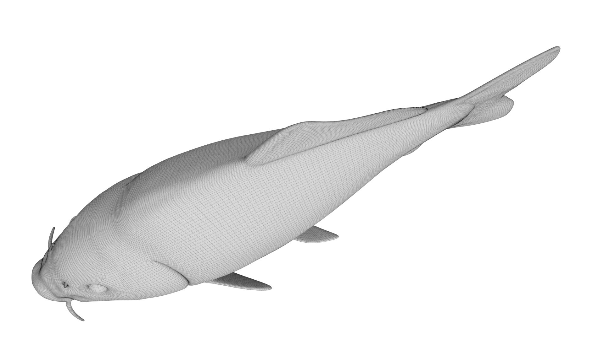 Full Fish Anatomy Static 3D model https://p.turbosquid.com/ts-thumb/O2/8TnSFB/00/fish_wire_body0005/jpg/1657716701/1920x1080/fit_q87/5c635dd8242bbfece0750c330b01786df6c824f9/fish_wire_body0005.jpg