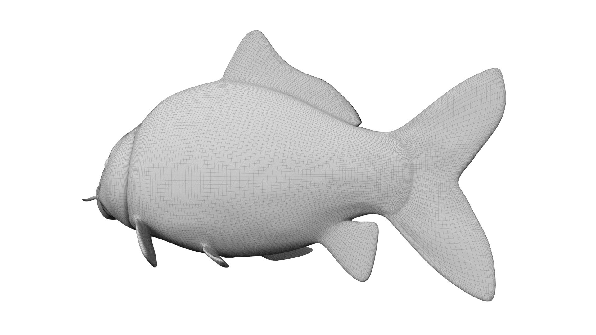 Full Fish Anatomy Static 3D model https://p.turbosquid.com/ts-thumb/O2/8TnSFB/8V/fish_wire_body0002/jpg/1657716699/1920x1080/fit_q87/b2e71bd7126a736170e93f05921ab23bebe8837a/fish_wire_body0002.jpg
