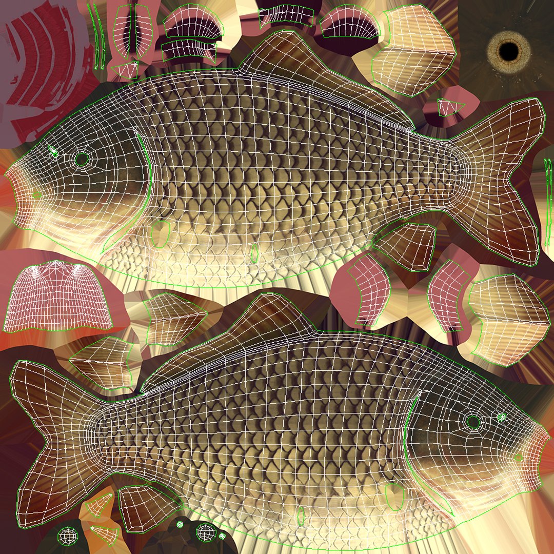 Full Fish Anatomy Static 3D model https://p.turbosquid.com/ts-thumb/O2/8TnSFB/nz/fish_unwrapping/jpg/1657734947/1920x1080/fit_q87/bd47b70cf063097de948c52b55626d5eee755b4d/fish_unwrapping.jpg