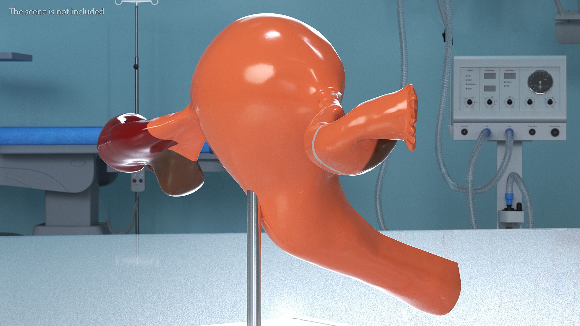 3D Medical Models Collection 5 model - TurboSquid 2122530