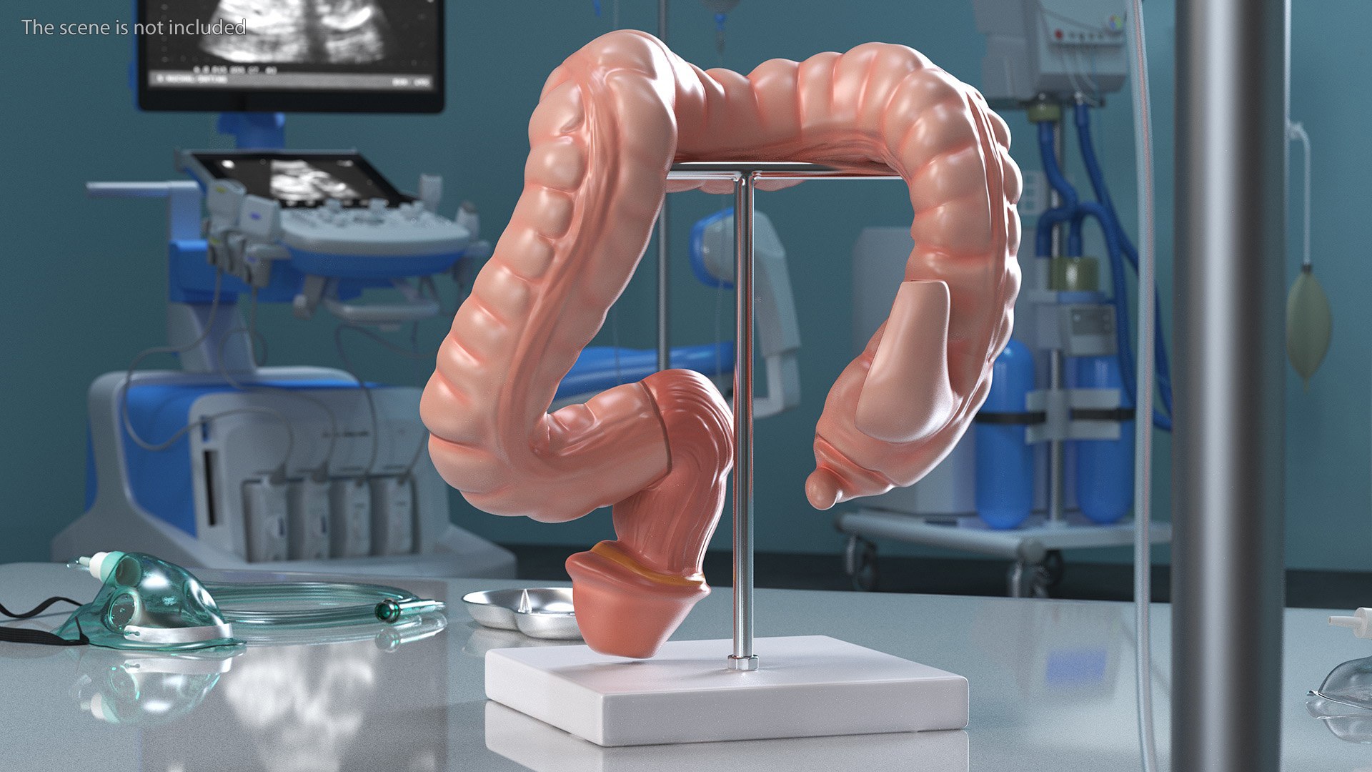 3D Medical Models Collection 5 model - TurboSquid 2122530