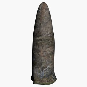 3D Menhir