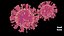 COVID-19Coronavirus