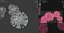 COVID-19Coronavirus