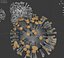 COVID-19Coronavirus