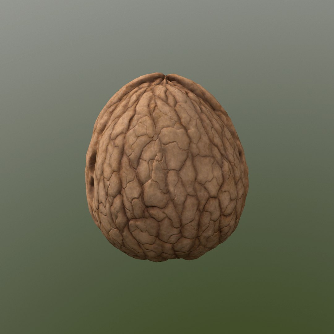 walnut nut 3d obj https://p.turbosquid.com/ts-thumb/O2/JcjIAe/0RG5IeBi/screenshot012/png/1413212590/1920x1080/fit_q87/f90be1d93fb1fc2c2263a0df5f556c1decc837f7/screenshot012.jpg