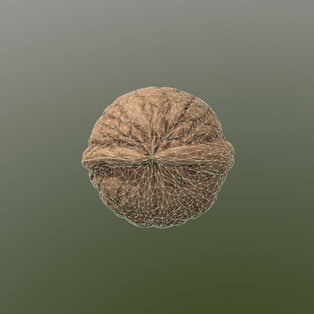 walnut nut 3d obj https://p.turbosquid.com/ts-thumb/O2/JcjIAe/7pMvrwcD/screenshot017/png/1413212527/1920x1080/fit_q87/aefd8c17891f9f4d0c866bb023ae3d5601f134f9/screenshot017.jpg