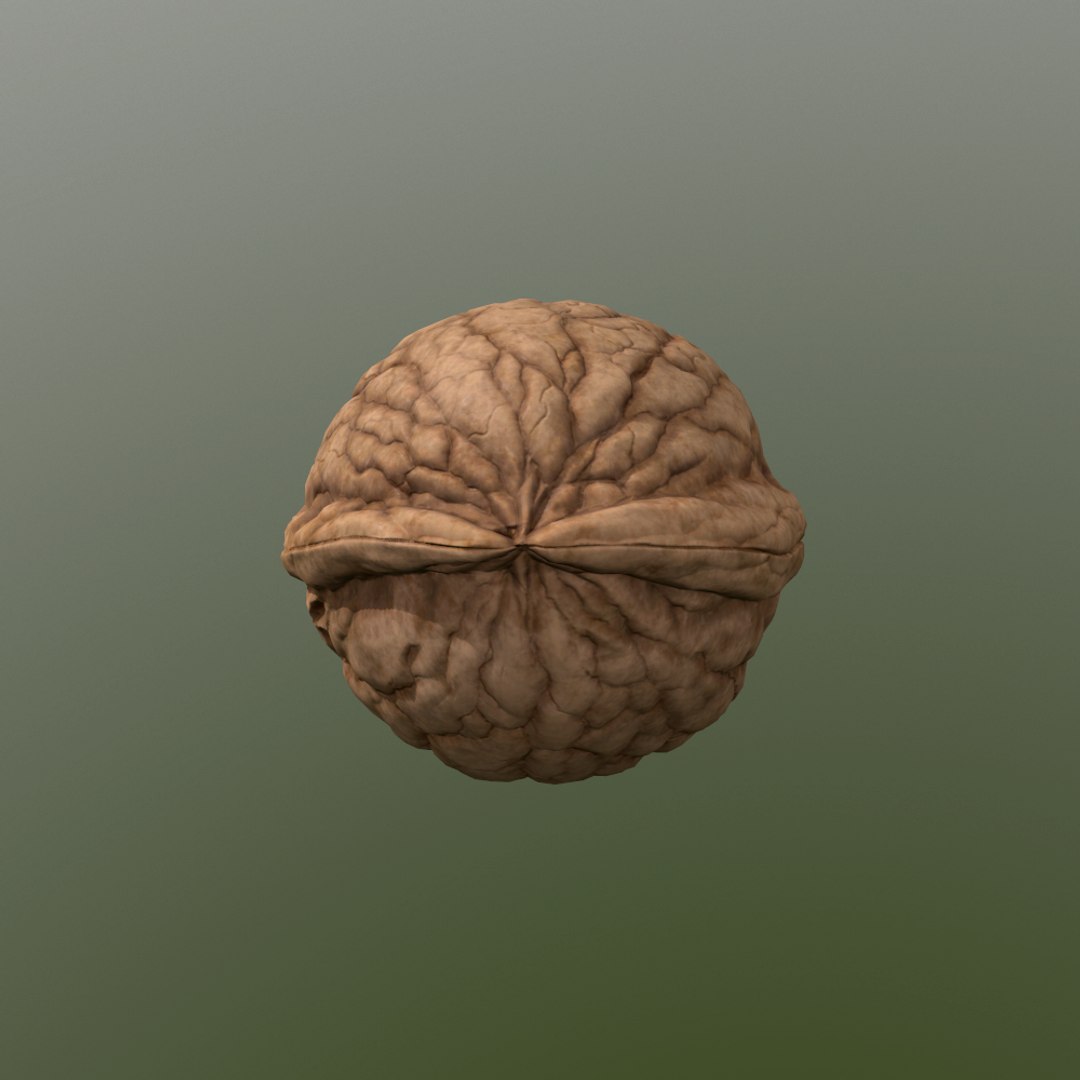 walnut nut 3d obj https://p.turbosquid.com/ts-thumb/O2/JcjIAe/IZ09zKVN/screenshot016/png/1413212527/1920x1080/fit_q87/04156a1250667c763c6aacb7062c8722e2d5f804/screenshot016.jpg
