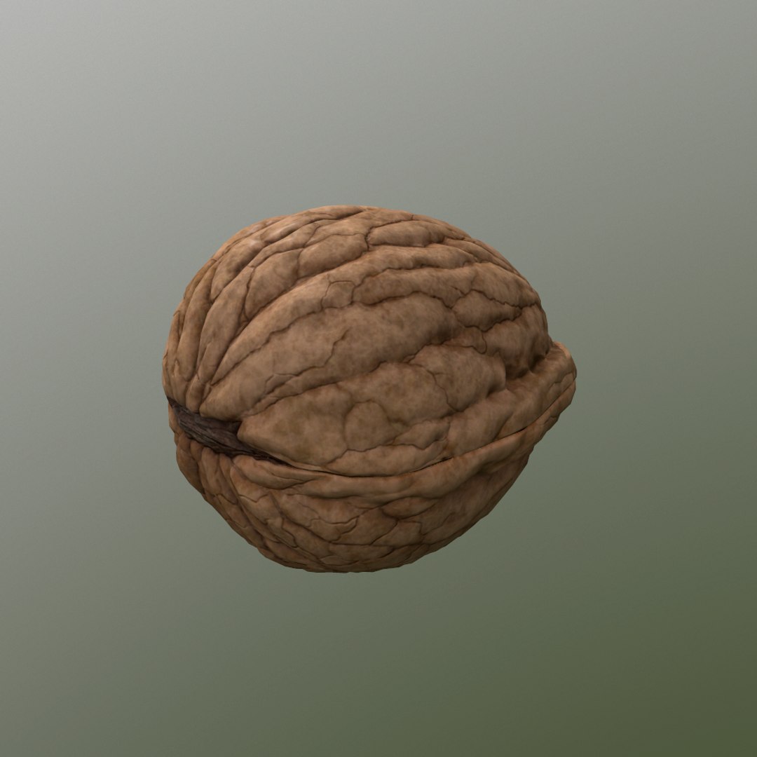 walnut nut 3d obj https://p.turbosquid.com/ts-thumb/O2/JcjIAe/RtH5HKoZ/screenshot004/png/1413212497/1920x1080/fit_q87/e40bbe6e067b4f77c4049a4be571c892416418b2/screenshot004.jpg