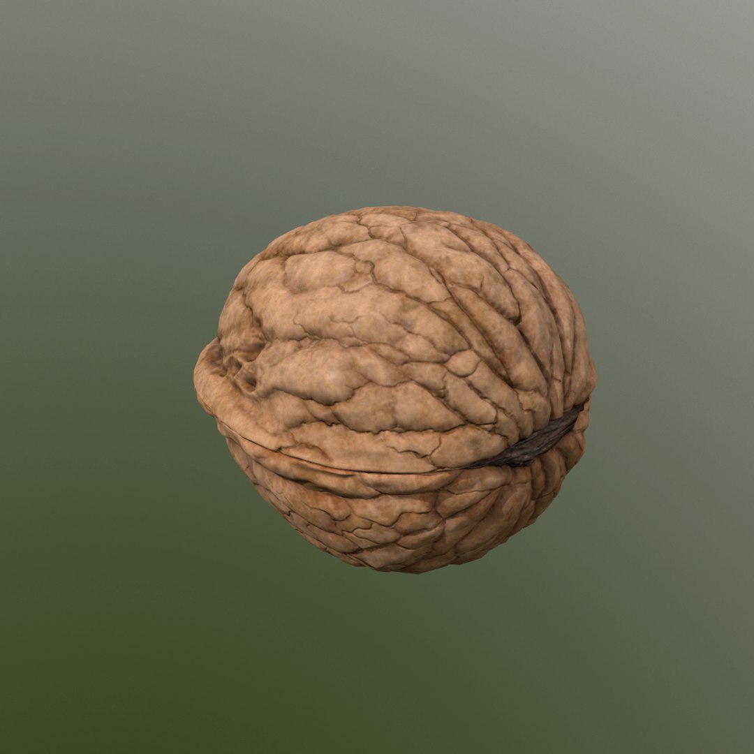 walnut nut 3d obj https://p.turbosquid.com/ts-thumb/O2/JcjIAe/dnBW5Gcb/screenshot003/png/1413212480/1920x1080/fit_q87/c19df8324ee24a019f4065593e2bdc3817ebcf37/screenshot003.jpg