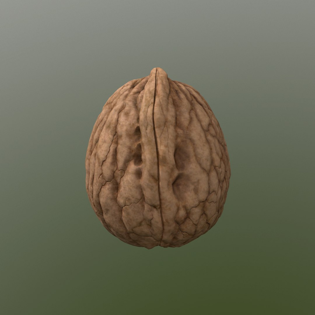 walnut nut 3d obj https://p.turbosquid.com/ts-thumb/O2/JcjIAe/n1U1a2JH/screenshot011/png/1413212613/1920x1080/fit_q87/394b29aae0b4b60c8c66ec8cb31446ddf2a2671d/screenshot011.jpg