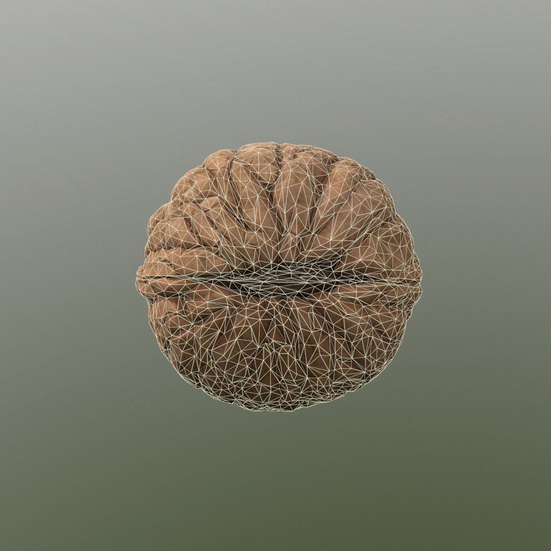 walnut nut 3d obj https://p.turbosquid.com/ts-thumb/O2/JcjIAe/reJIDiUT/screenshot006/png/1413212545/1920x1080/fit_q87/96f8dcacdc0fd89dc3e79818f3e98fe00055a174/screenshot006.jpg