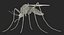 3D insects big rigged 3