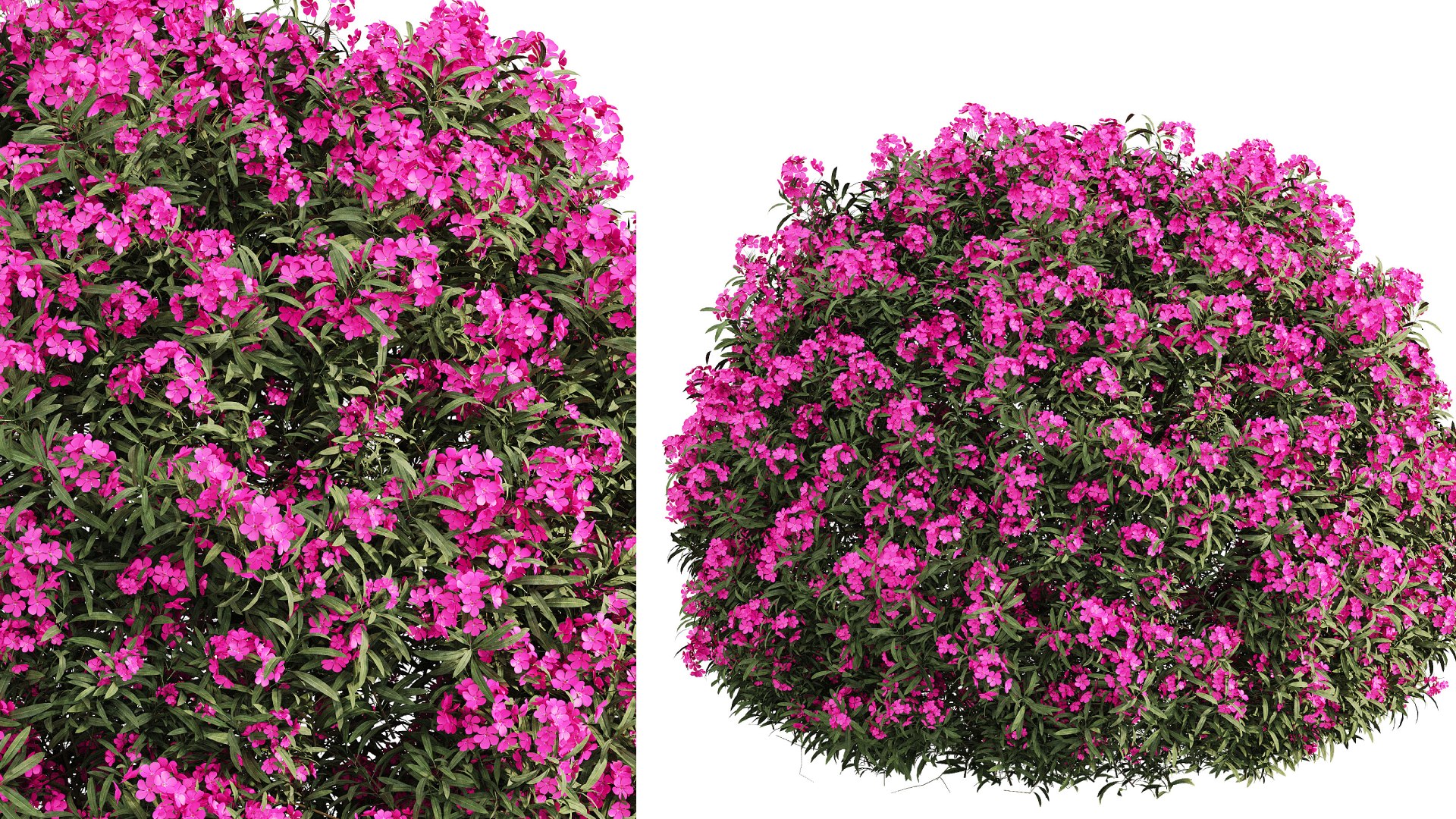 ourdoor plant 1 3D model https://p.turbosquid.com/ts-thumb/O2/PSX38l/Pp/320240314t101054.007/png/1710400380/1920x1080/fit_q87/0d1a1414bbf3e5f251e1d5531d362740bd04e77a/320240314t101054.007.jpg