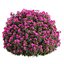 私たちのドア工場 1
